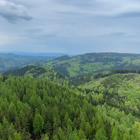 Rodzinna Przystan